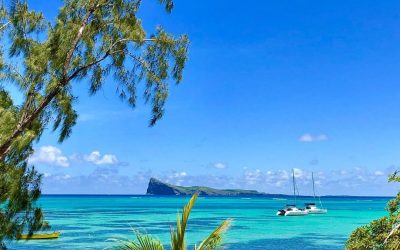 The Secret to Setting Up a Successful Business in Mauritius